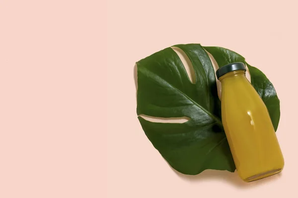 Succo di frutta multipla in bottiglia e foglia di monstera — Foto Stock