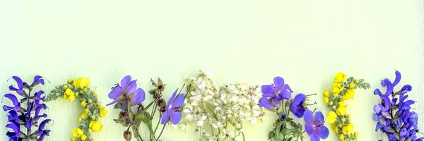 Fronteira de flores silvestres de verão — Fotografia de Stock