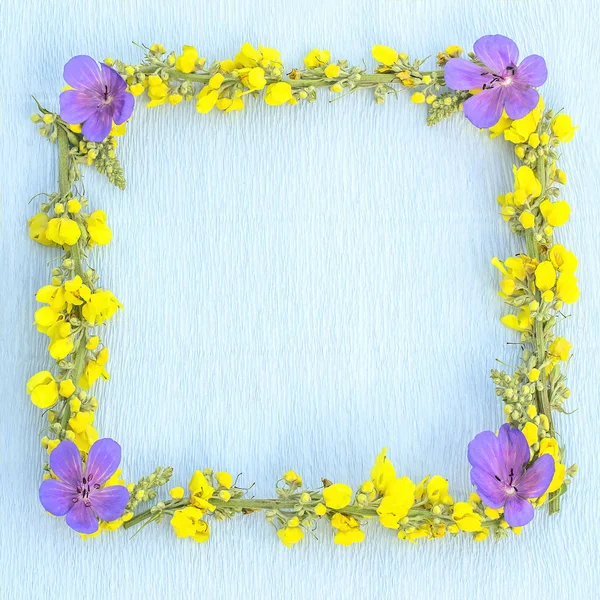Quadro de flores silvestres de verão — Fotografia de Stock