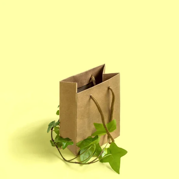 Saco de compras ecológico com ramo de planta verde — Fotografia de Stock