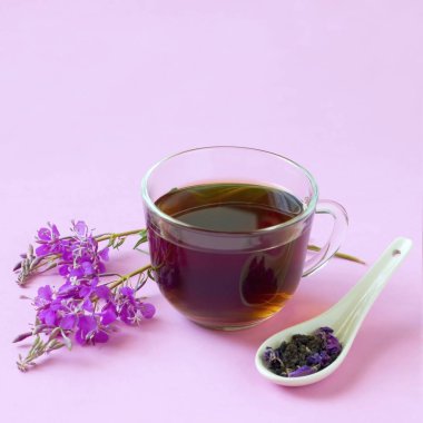 Useful herbal tea from fermented leaves fireweed on pink backgro clipart