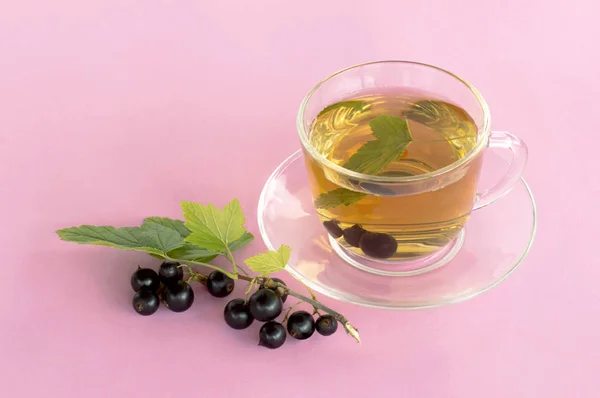 Витаминный чай с черной смородиной — стоковое фото