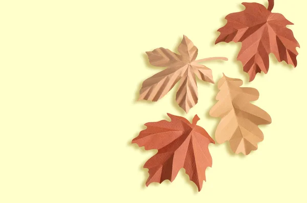 종이 가을 단풍 나무, 밤, 참나무 잎 — 스톡 사진