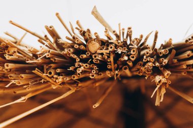 Büyük pipet ya da kablo makro çekim, kopyalama sapı