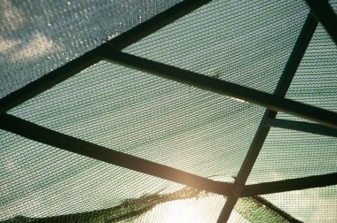 Dark green knitted polyethylene mesh background. Agro sun shade net textured surface sample. Greenhouse equipment. Artificial material as background. clipart
