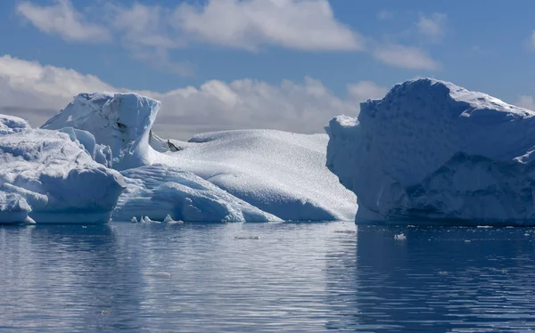 Färdas Längs Antarktis Vetenskapliga Fartyget Studera Ices Havet Invånare Och — Stockfoto