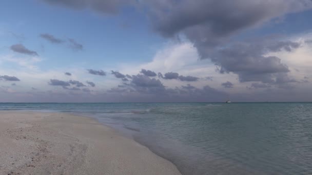 Isole Tropicali Atolli Acque Turchesi Pure Dell Oceano Sabbia Corallina — Video Stock