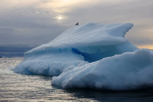 具有解冻痕迹的冰山表面 全球变暖现象的研究 世界海洋数百万吨的浮冰 — 图库照片
