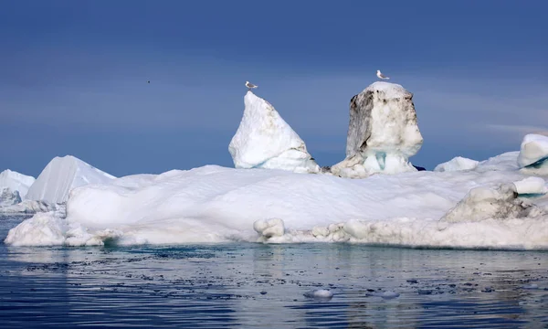 Iceberg Avec Des Traces Dégel Recherche Phénomène Réchauffement Climatique Des — Photo