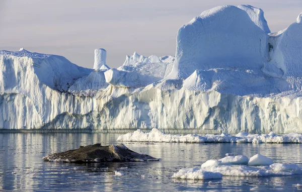 Nature Paysages Des Zones Polaires Notre Planète Voyagez Sur Navire — Photo