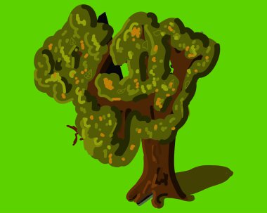 parkta yalnız eski meşe