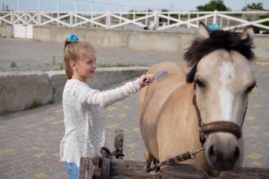 küçük kız temizler ve onun midilli tarak ve onu binmek eyer