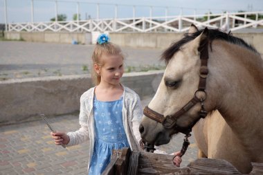 küçük kız temizler ve onun midilli tarak ve onu binmek eyer