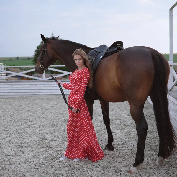 Beautiful Sexy Blonde Big Breasts Horse Brown Suits — Stock Photo, Image