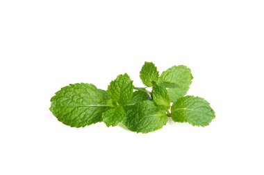 Beyaz arkaplanda izole edilmiş taze nane yaprakları