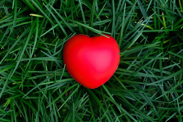 Красное сердце сверху на зеленом фоне травы, копия sp — стоковое фото
