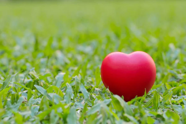 Κόκκινη καρδιά τοποθετημένη σε πράσινο γρασίδι. Ημέρα του Αγίου Βαλεντίνου ιδέα. Κόσμος η — Φωτογραφία Αρχείου