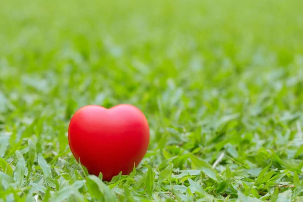 Красное сердце, помещенное на зеленом фоне, символизирует День святого Валентина. — стоковое фото