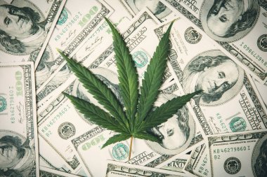 Marihuana Yaprağı ve Amerikan Banknotları. Marihuana işi konsepti. CBD Tıbbi Marihuana Dolar THC Esrar.