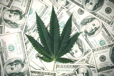 Marihuana Yaprağı ve Amerikan Banknotları. Marihuana iş kavramı.