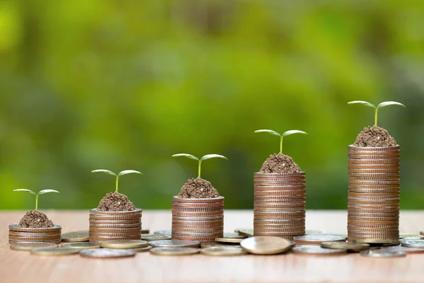 Tree growing on pile of coins money.Finance and Saving money concept,