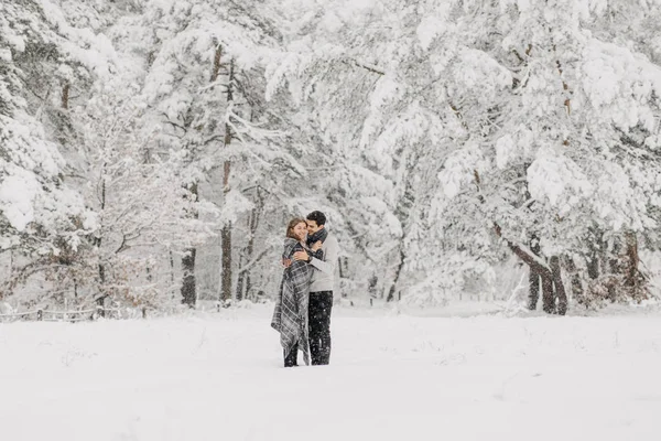 Пара Влюбленных Гуляющих Снежному Лесу Обнимающихся Целующихся Наслаждающихся — стоковое фото