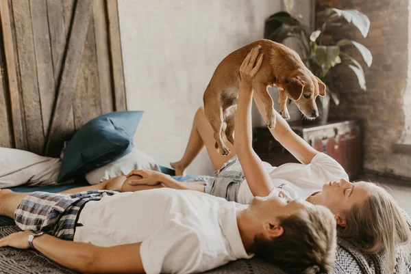 Belo Casal Apaixonado Brinca Com Pequeno Cão — Fotografia de Stock