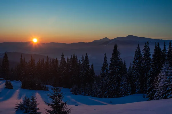 Salida Del Sol Las Montañas Invierno Con Bosque Abeto Sin Fotos de stock libres de derechos