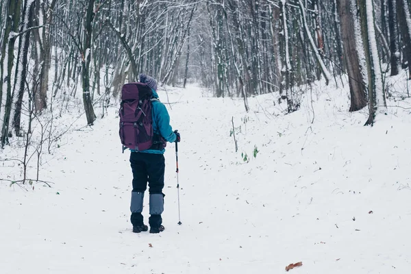Full tillväxt ung flicka med ryggsäck från baksidan i skogen vinter — Stockfoto