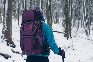 Genç kız kış orman hiking sırt çantası ile. Arkadan bak