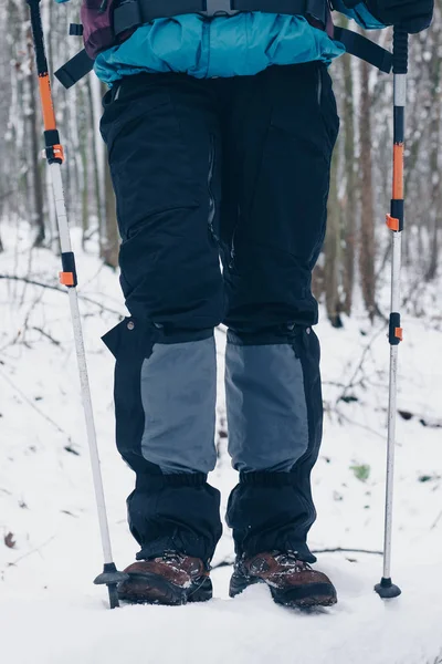 Vandrare under med vandringsstavar i skogen vinter — Stockfoto