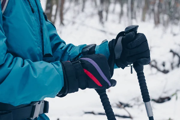 Vandrare händer i handskar och med vandringsstavar i skogen vinter — Stockfoto