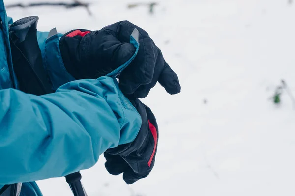 Caminantes manos en guantes están ajustando chaqueta de membrana en el bosque de invierno Imágenes de stock libres de derechos