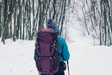 Sırt çantası ile genç kız kış orman hiking geriye doğru görünüyor