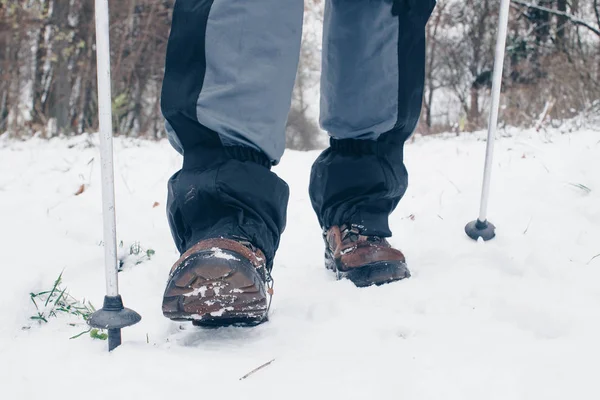Hiker черевики треккинга поляків і гетри йти вперед в зимовому лісі Стокове Фото