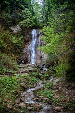 Bir dağ ormanında kayalar arasında şelale ve dere