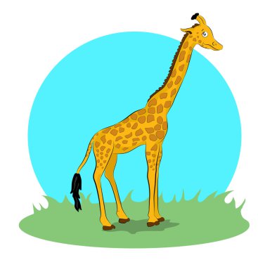 Bir zürafanın vektör çizimi