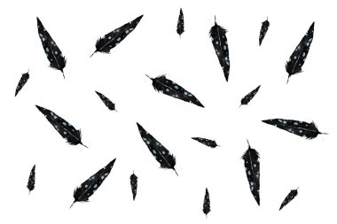 Resimler, desenler, beyaz arkaplanda suluboya tüyler