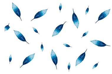 Resimler, desenler, beyaz arkaplanda suluboya tüyler