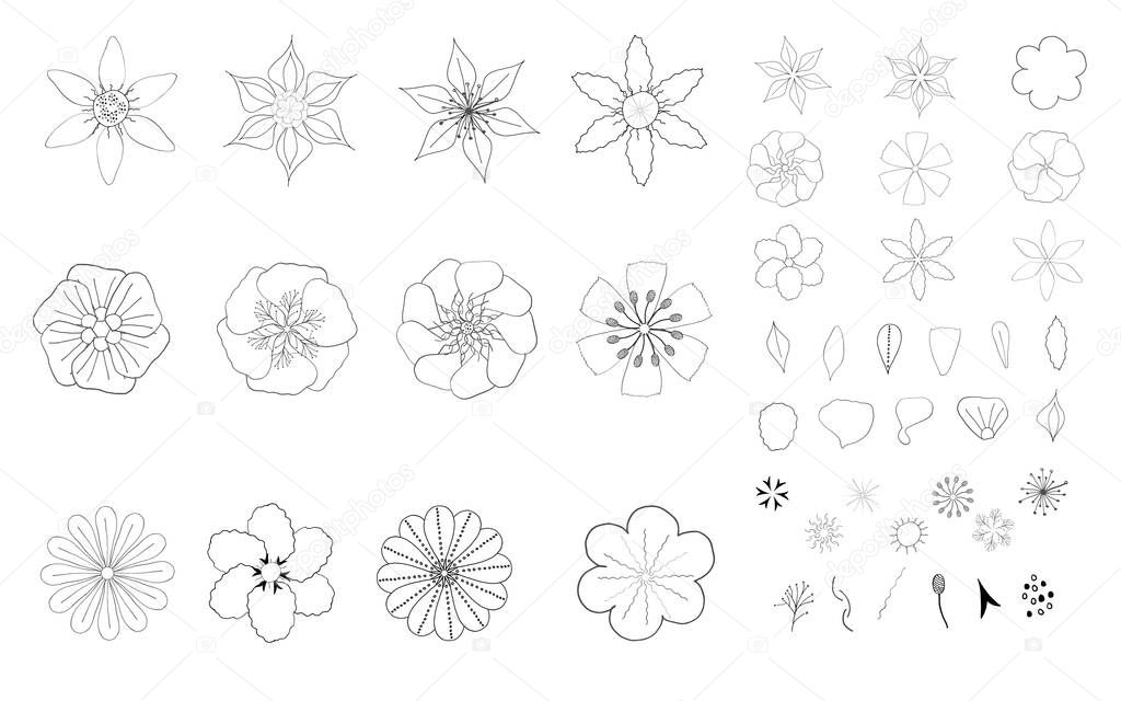 vector illustration, set of black and white flowers and their elements for design of fabric, paper