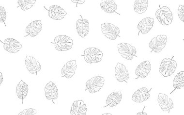 Kusursuz desen, siyah beyaz canavar yapraklarından arkaplan tasarım, baskı, tekstil, raster kopya için beyaz arkaplan