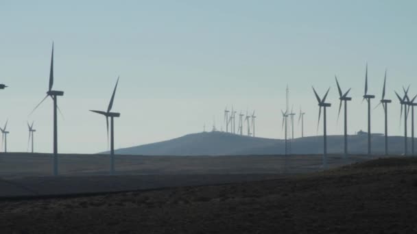 Vindkraftpark Utanför Ellensburg Washington Tydlig Höst Dag — Stockvideo