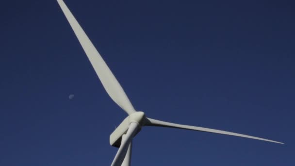 Windpark Buiten Ellensburg Washington Een Heldere Herfstdag — Stockvideo