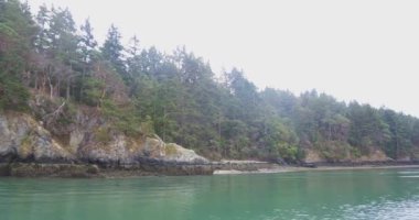 Puget Sound tempolu yolculuğuna bir bulutlu sonbahar sabahı