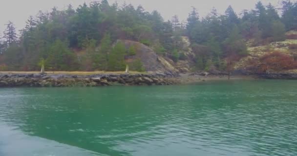 Rask Kryssning Puget Sound Mulen Höst Morgon — Stockvideo