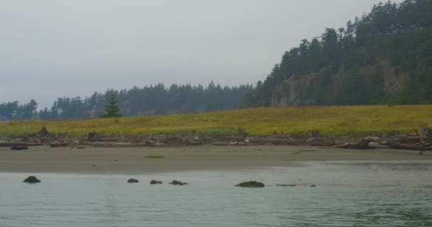 Crucero Enérgico Puget Sound Una Mañana Nublada Otoño — Vídeo de stock