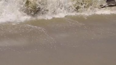 Ağır çekimde bir güneşli yaz günü Santa Monica'da çökmesini dalgalar