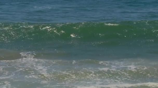 Golven Slowmotion Een Zonnige Zomerdag Santa Monica — Stockvideo