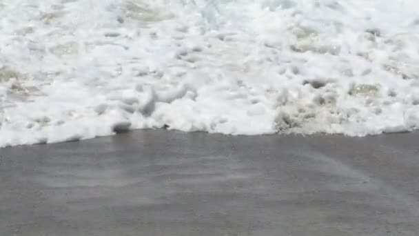 在圣莫尼卡阳光明媚的夏日 海浪在缓慢的运动中坠落 — 图库视频影像