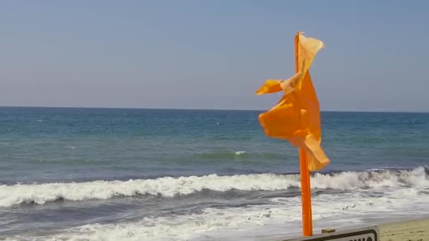 Rough Tide Flag Slow Motion Sunny Summer Day Santa Monica — Stock Video